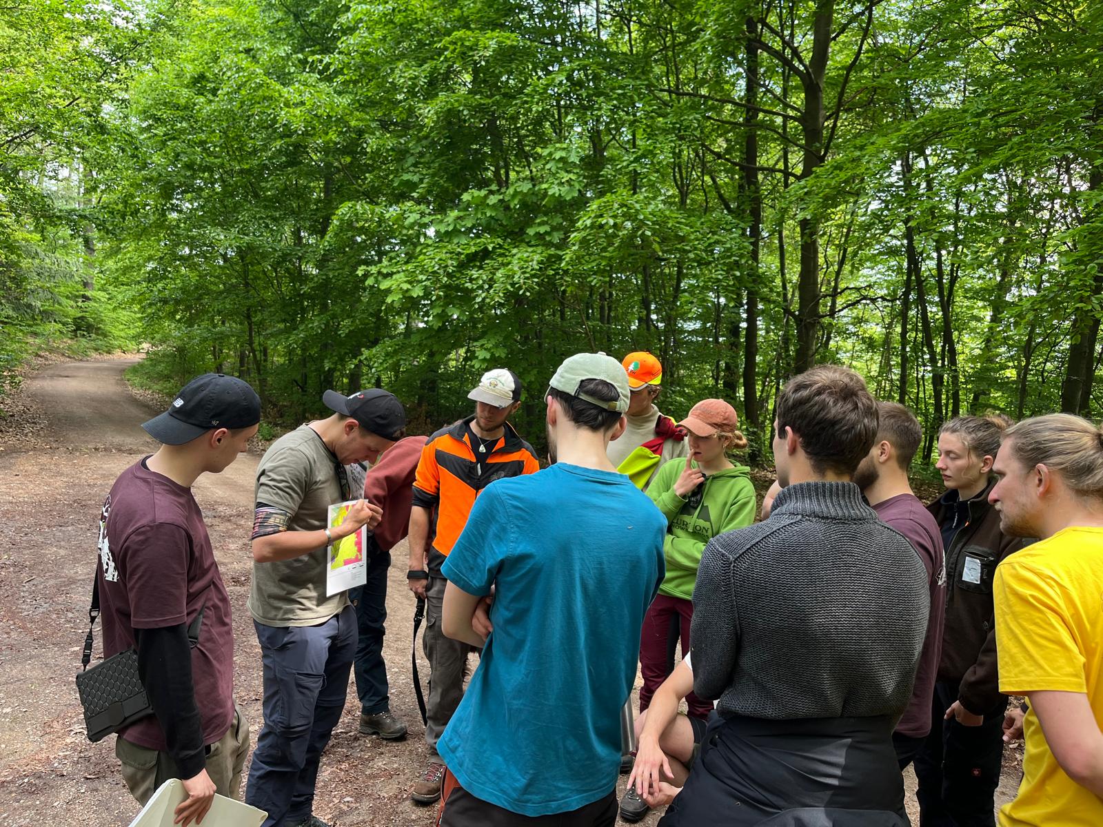 Successful Premiere in the Marteloscope Teaching and Learning Site in Tharandt Forest